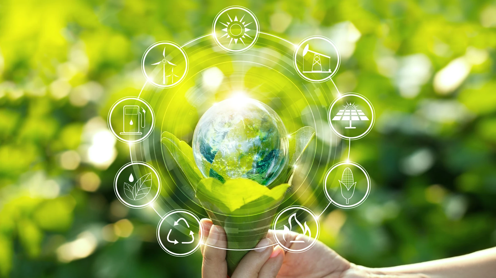 Sostenibilidad Ambiental